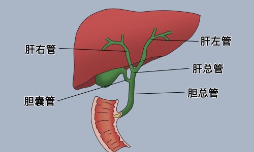 女生让男生睡在家里算不算出轨-女人让男人睡在她身上网女人让男人跟他老婆睡知识网站,分享女生让你睡她床说明什么大全